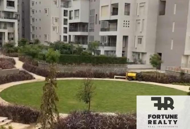 64642114 - Property Image 3