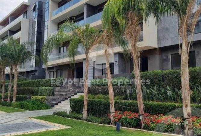 58251814 - Property Image 3