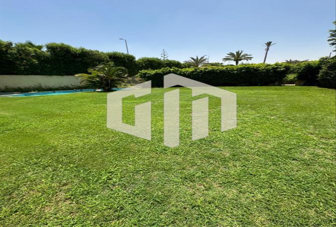 75681762 - صورة العقار 2