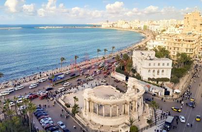 Office Space - Studio - 1 Bathroom for rent in El Mansheya - Hay El Gomrok - Alexandria
