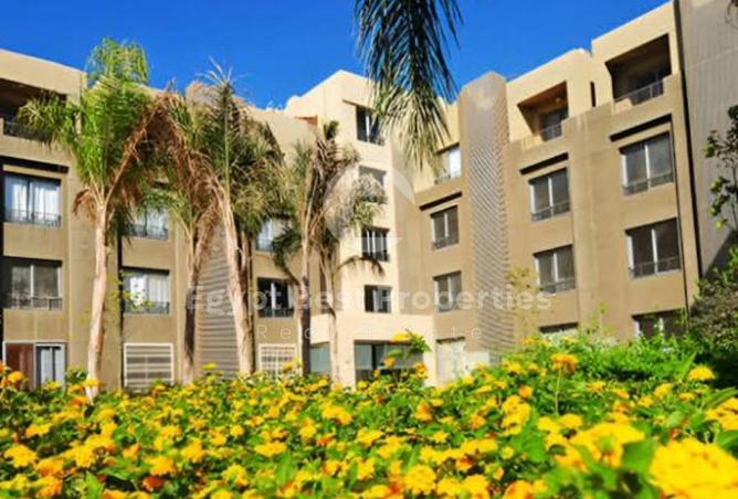 52453092 - Property Image 2