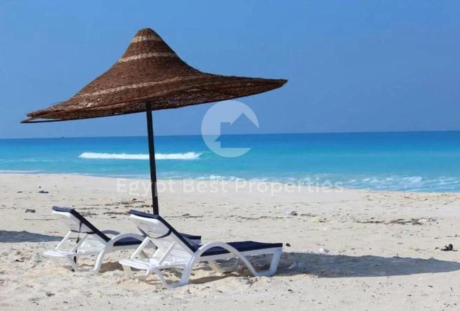 54492344 - صورة العقار 3