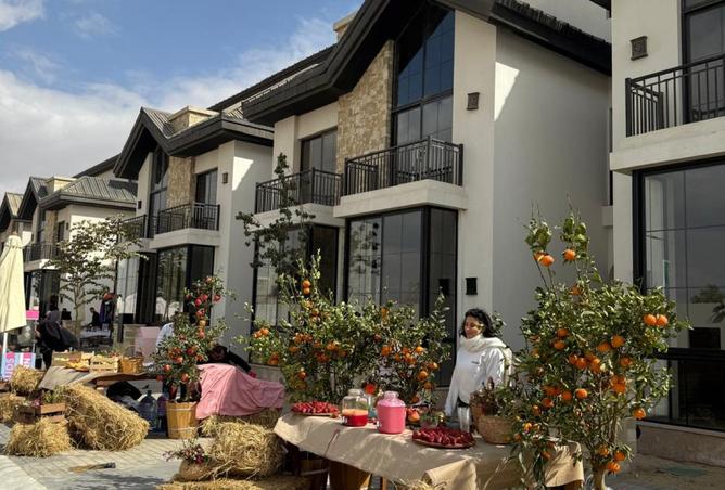 8524605 - صورة العقار 2