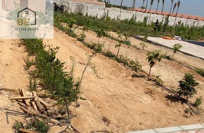 مزرعة - استوديو للبيع في منطقة الجيزة - جنوب الجيزة - الجيزة