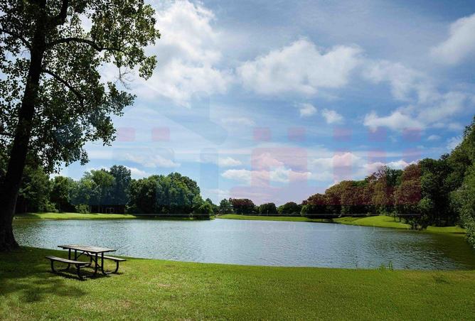 59490159 - صورة العقار 3