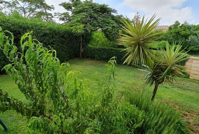 8711965 - صورة العقار 2