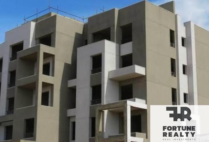 61437381 - Property Image 3