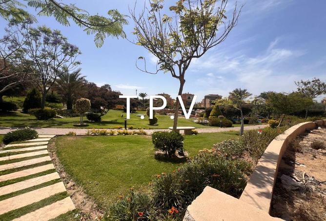 8641657 - Property Image 2