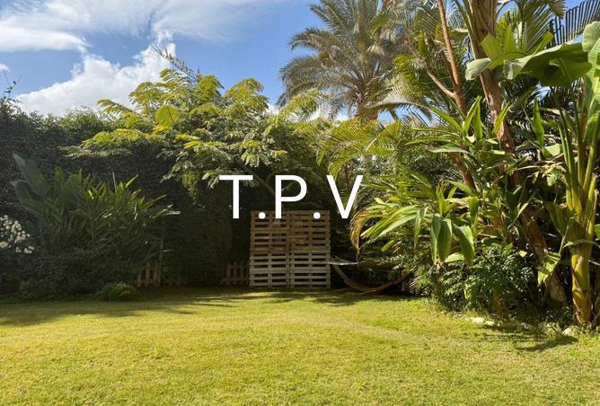 74863656 - Property Image 2