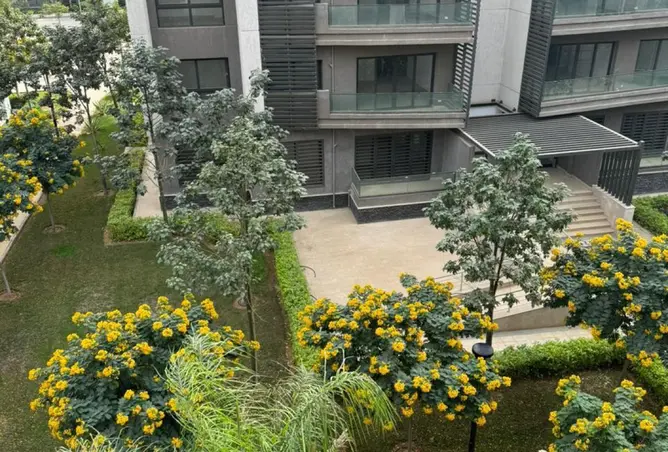 97442326 - صورة العقار 3