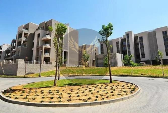 8634595 - Property Image 3