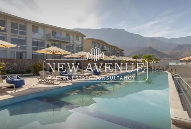 63393673 - Property Image 2