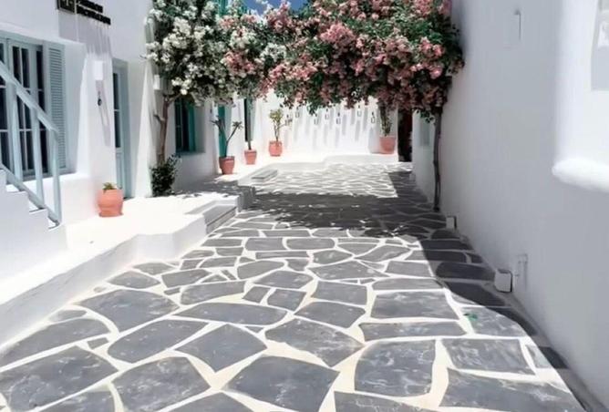 81319444 - صورة العقار 2