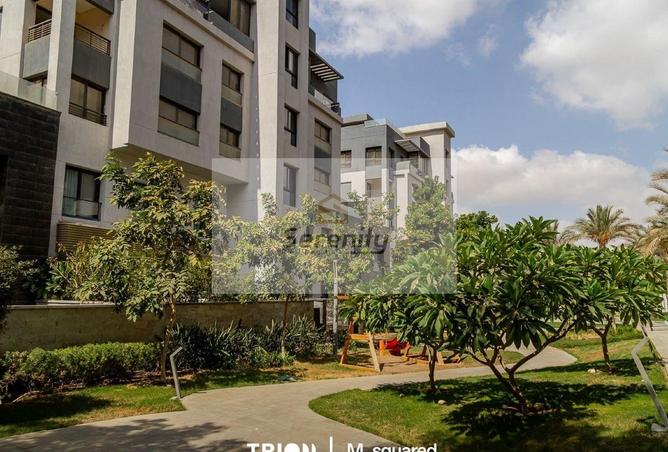 65921773 - Property Image 3