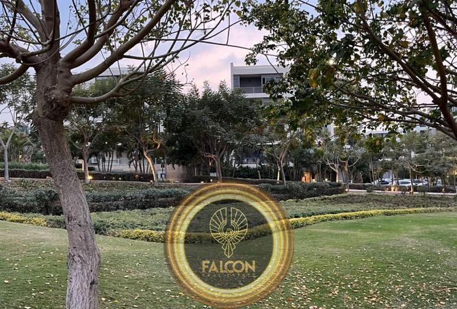 56247725 - صورة العقار 3