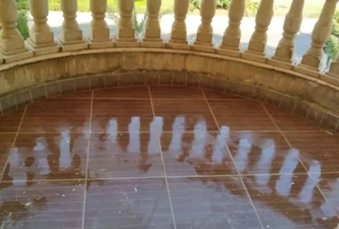 55501181 - Property Image 3