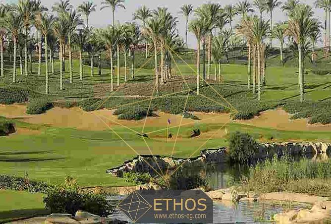 52975729 - صورة العقار 3