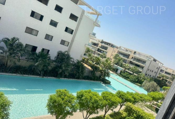 8612216 - Property Image 2