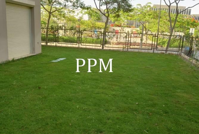 64130356 - Property Image 3