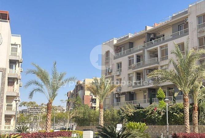 69578500 - صورة العقار 3