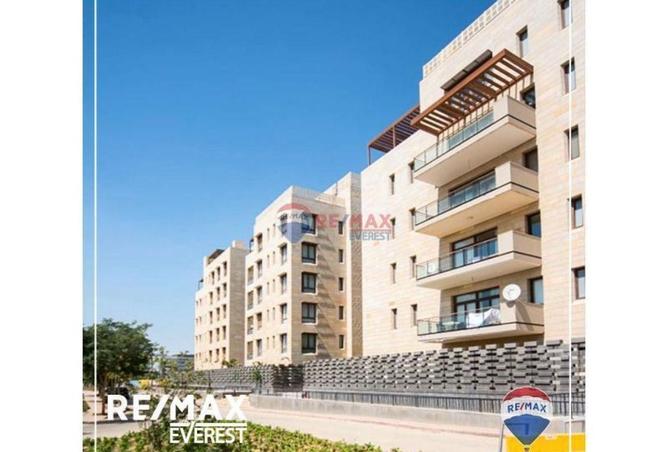 55251663 - Property Image 3