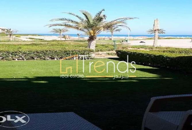 54235867 - صورة العقار 2