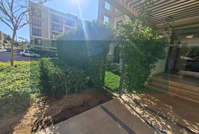 8613098 - صورة العقار 3