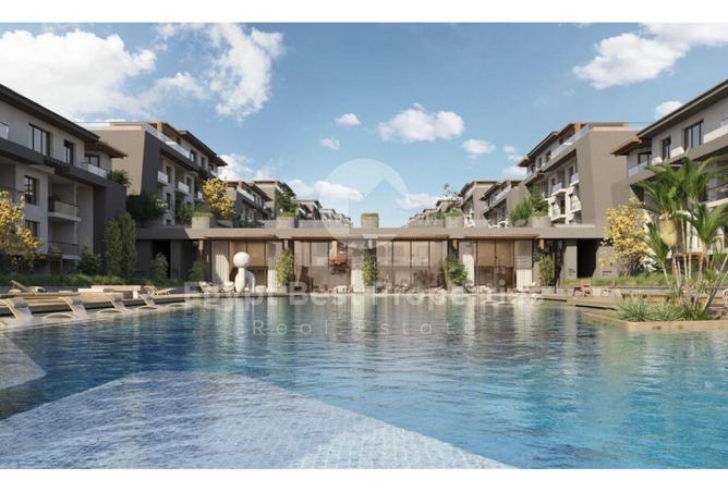 87512500 - Property Image 3