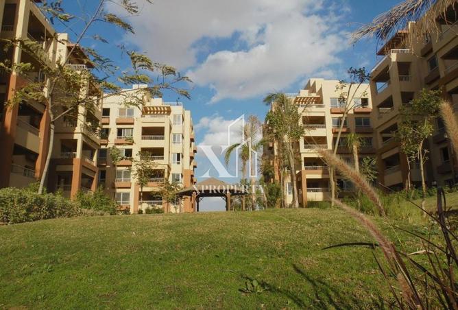 8615685 - صورة العقار 3