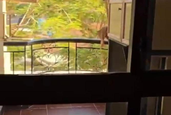 8566172 - Property Image 2