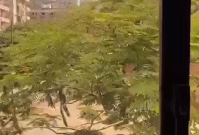 8566172 - Property Image 3