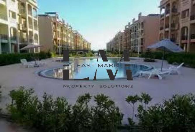 57252257 - Property Image 3