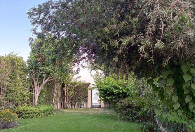 62407622 - الصورة الرئيسية للعقار