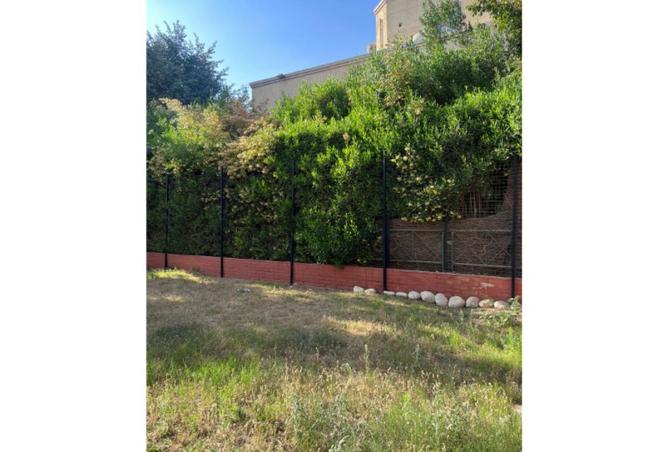 58745891 - الصورة الرئيسية للعقار