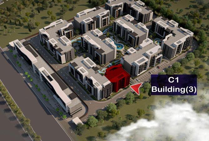 58985332 - Property Image 3