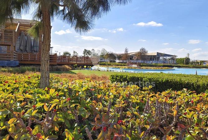 8533934 - Property Image 3