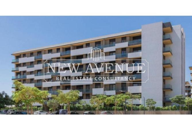 8670313 - Property Image 3