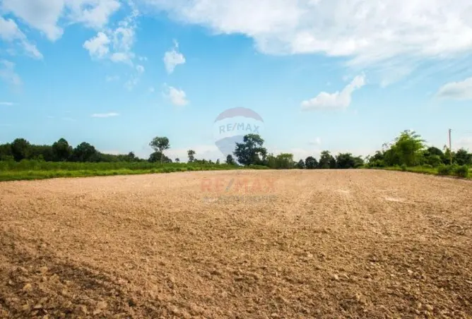 73498997 - Property Image 3