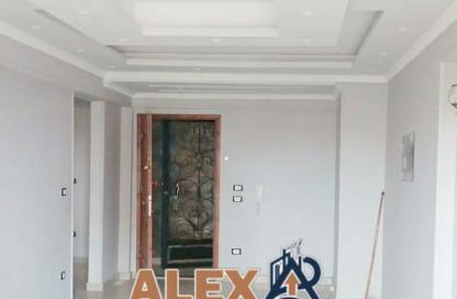 Apartment - 3 - 2 for rent in Ahmed Ismail St. - Waboor Elmayah - Hay Wasat - Alexandria