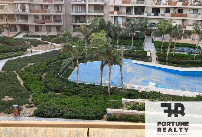 55005070 - Property Image 3