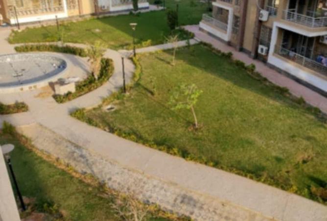 52706941 - Property Image 3