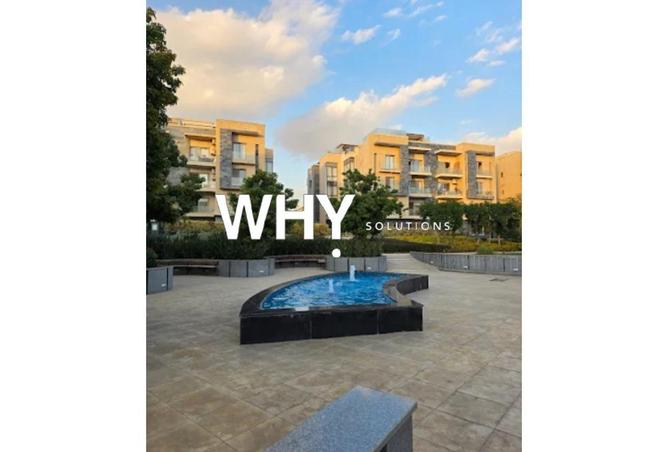 64381484 - Property Image 3