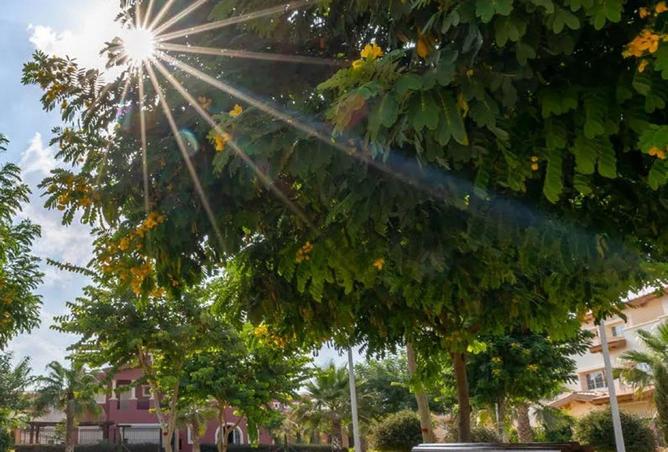 8511328 - صورة العقار 3