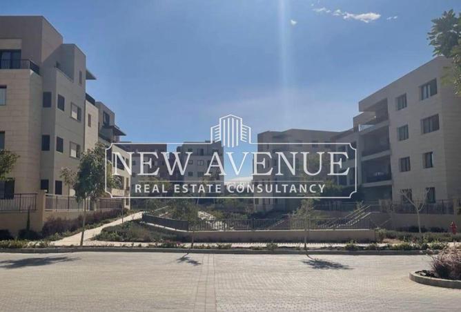 8695520 - Property Image 3