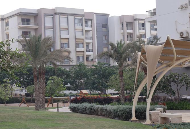 104595939 - صورة العقار 2