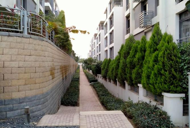 65665127 - Property Image 2