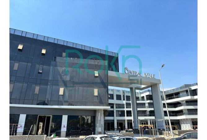 8530226 - Property Image 3