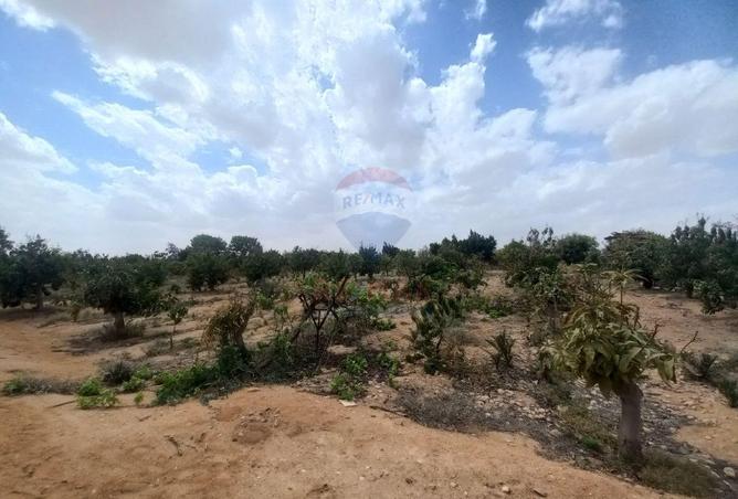 67737917 - الصورة الرئيسية للعقار