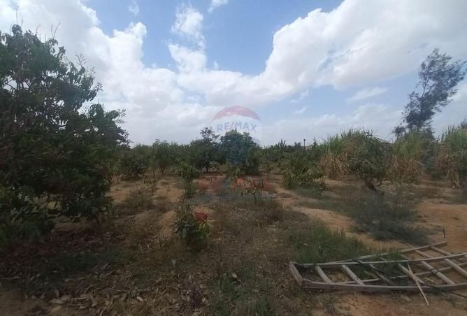 67737917 - صورة العقار 2