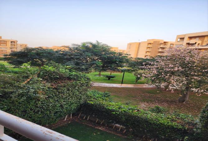 81569971 - صورة العقار 2